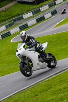 cadwell-no-limits-trackday;cadwell-park;cadwell-park-photographs;cadwell-trackday-photographs;enduro-digital-images;event-digital-images;eventdigitalimages;no-limits-trackdays;peter-wileman-photography;racing-digital-images;trackday-digital-images;trackday-photos